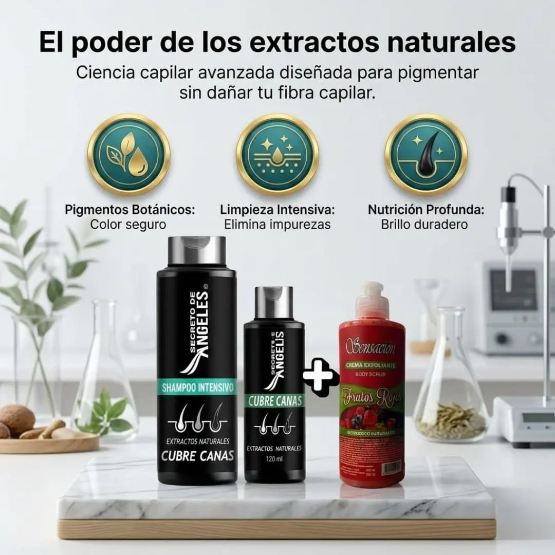 Encabezado