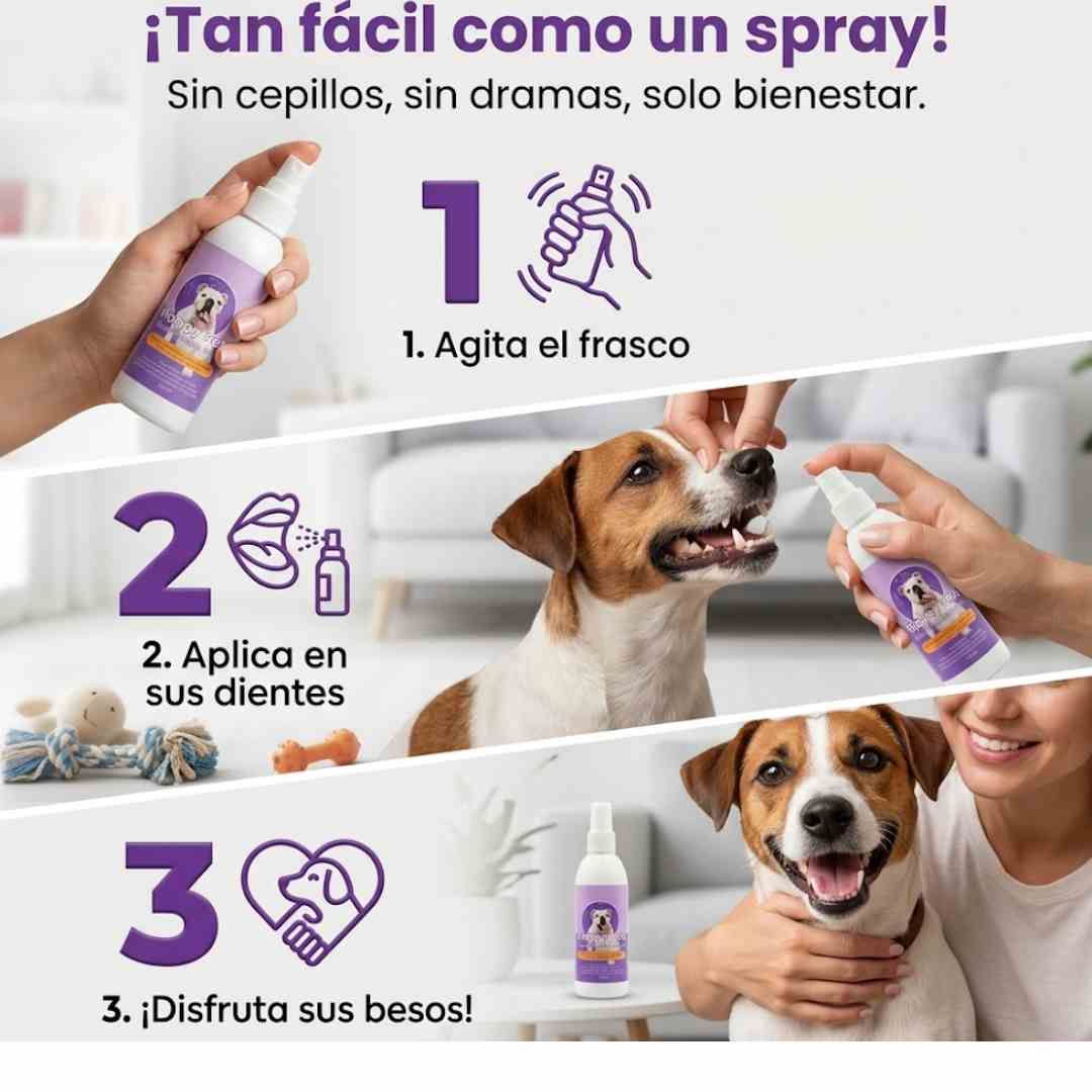 Encabezado
