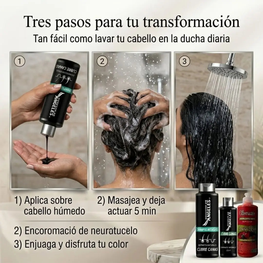 Encabezado