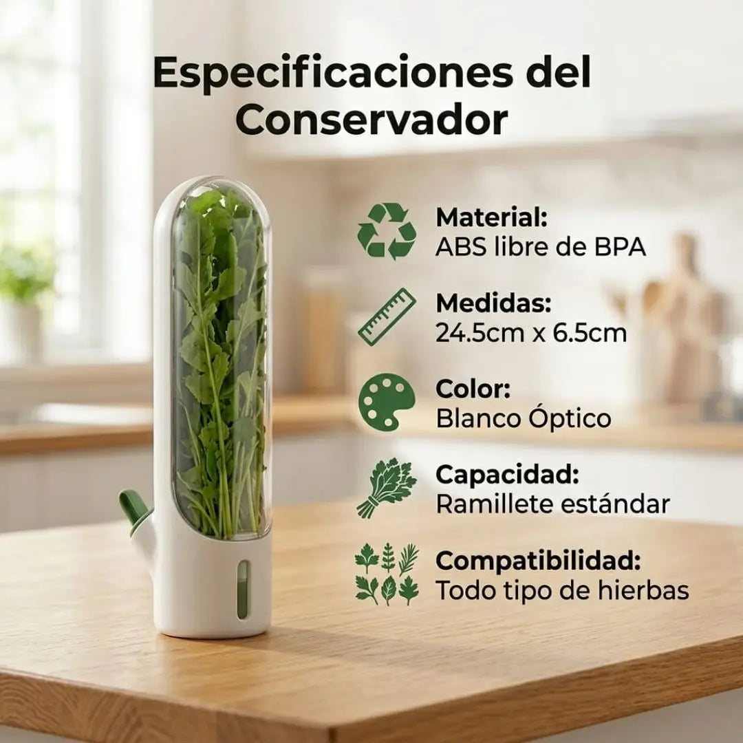 Encabezado