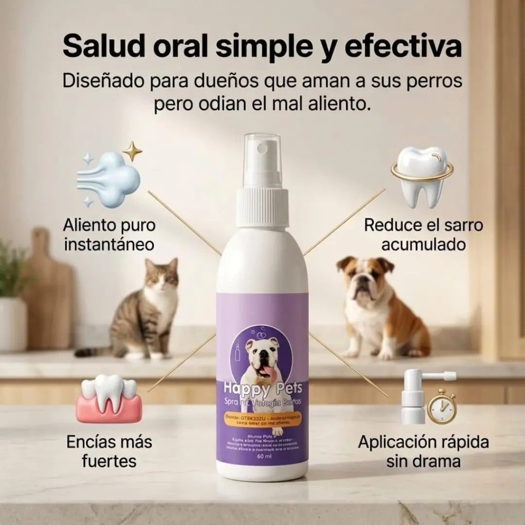 Encabezado